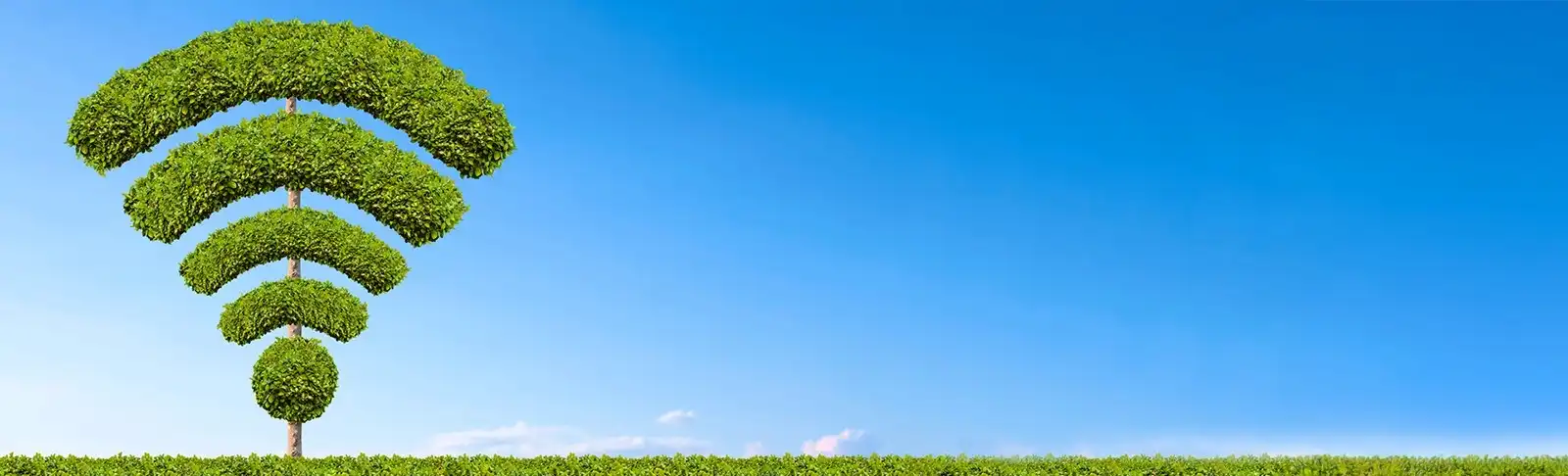 Wifi symbol made of plants