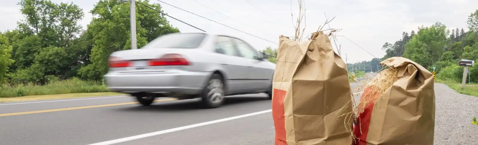 Leaf and yard waste bag by the road