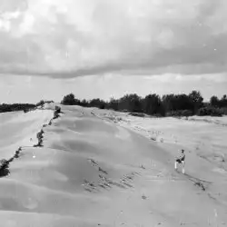 erosion in county forest