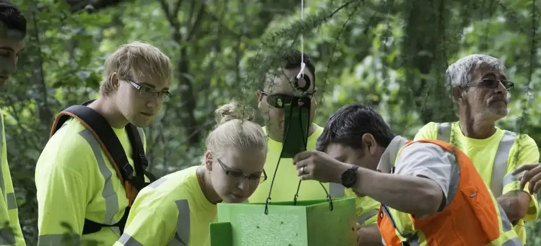 Forest students lean around forest staff as they do a demonstration
