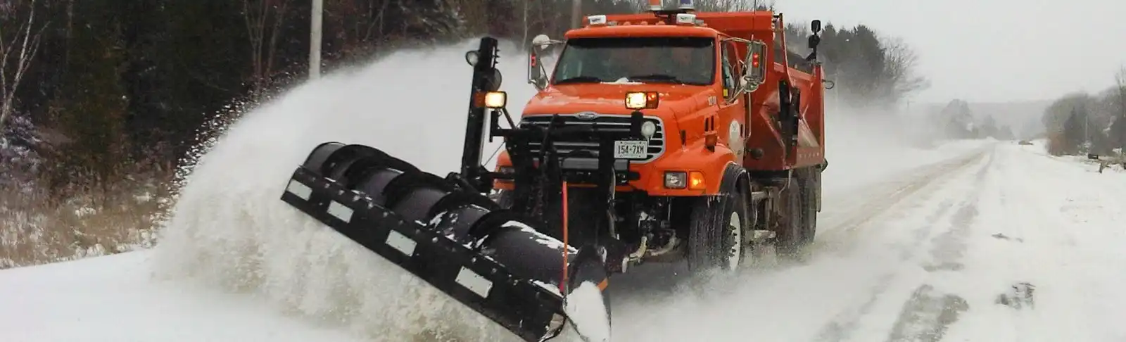 IMG00043-20110202-1027_2-banner