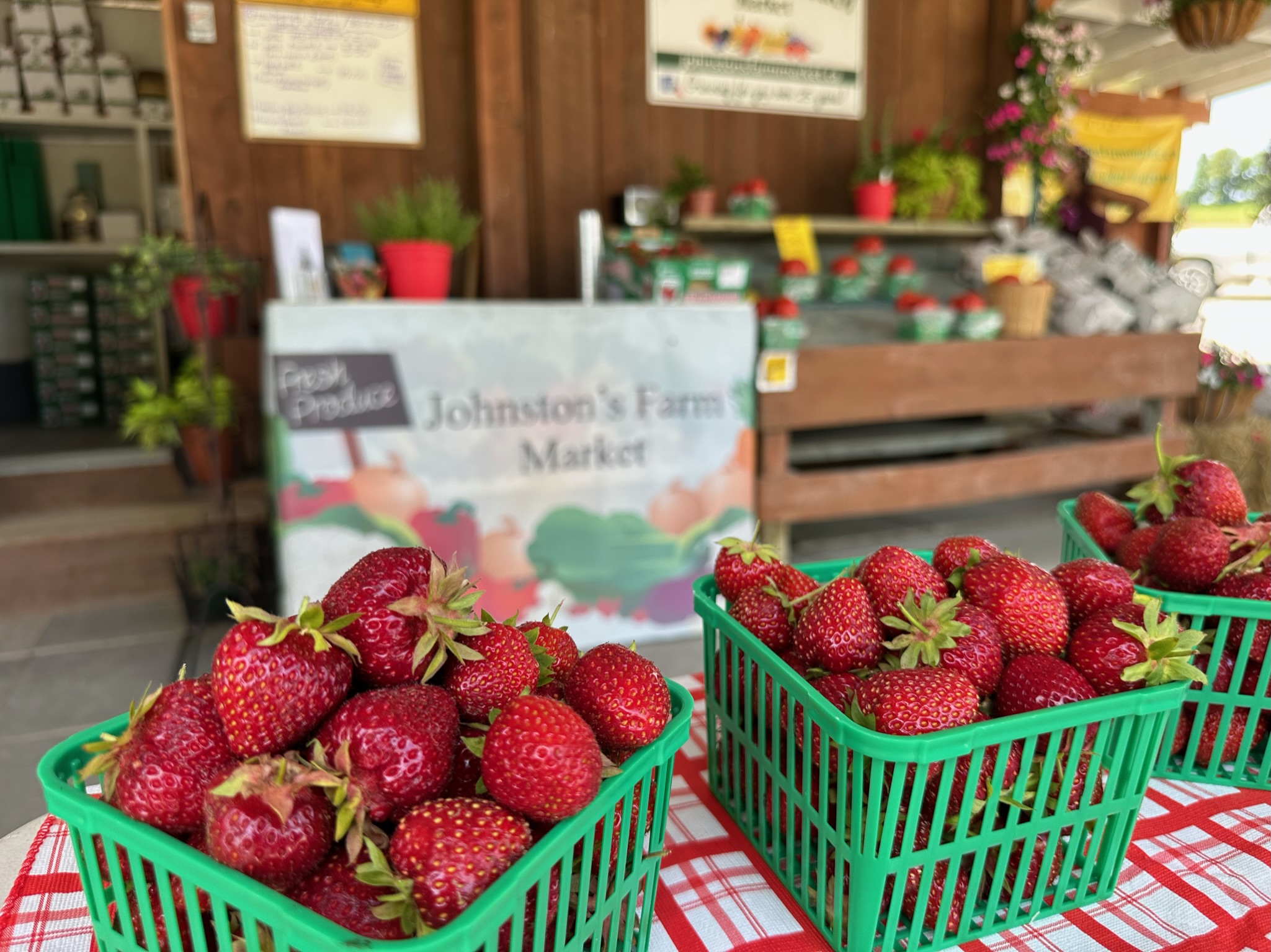 Johnstons-Farm-HS-3303