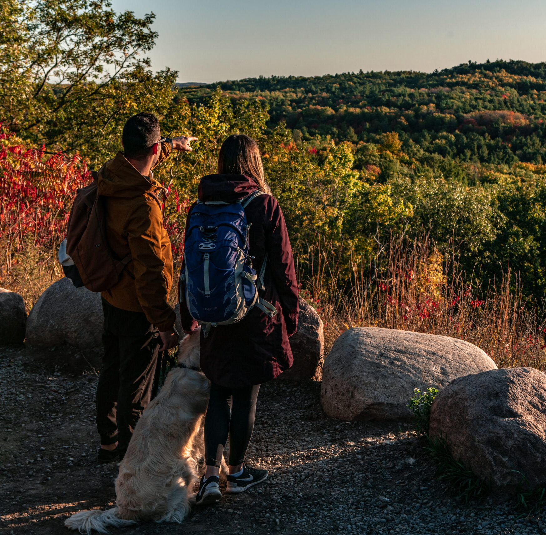 Hikers at outlook in County Forest