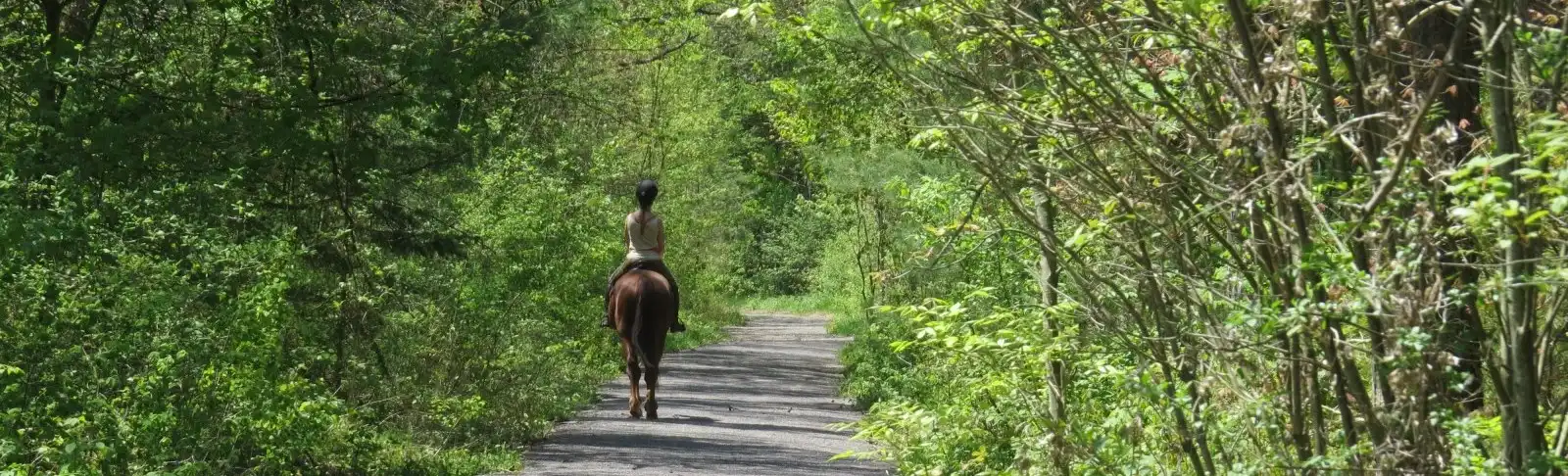 horseback-riding2_banner