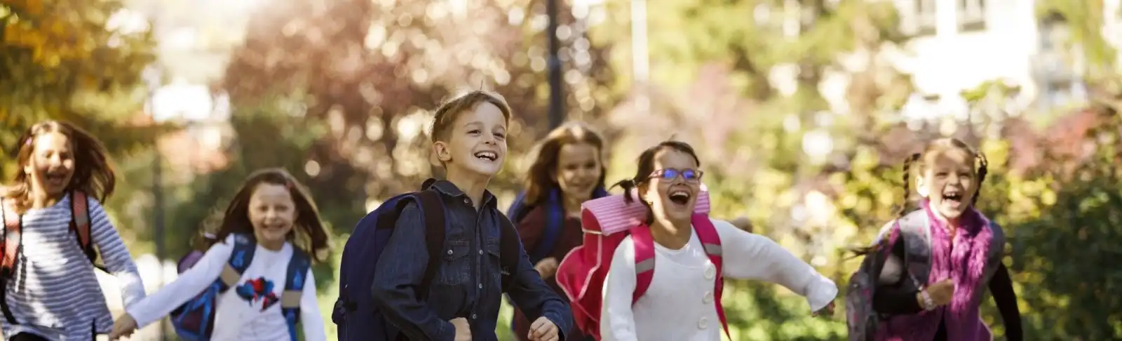 iStock-895483578_cropped