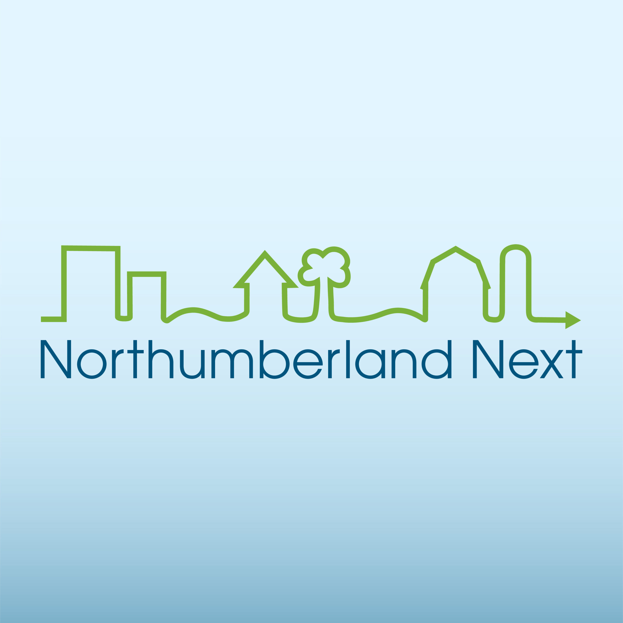 Northumberland Next project logo