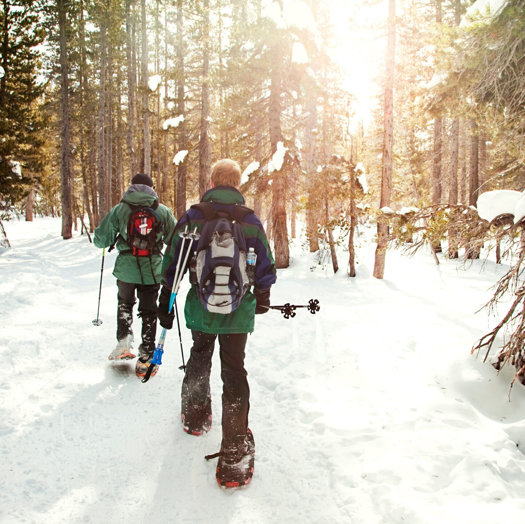 Snowshoeing in forest