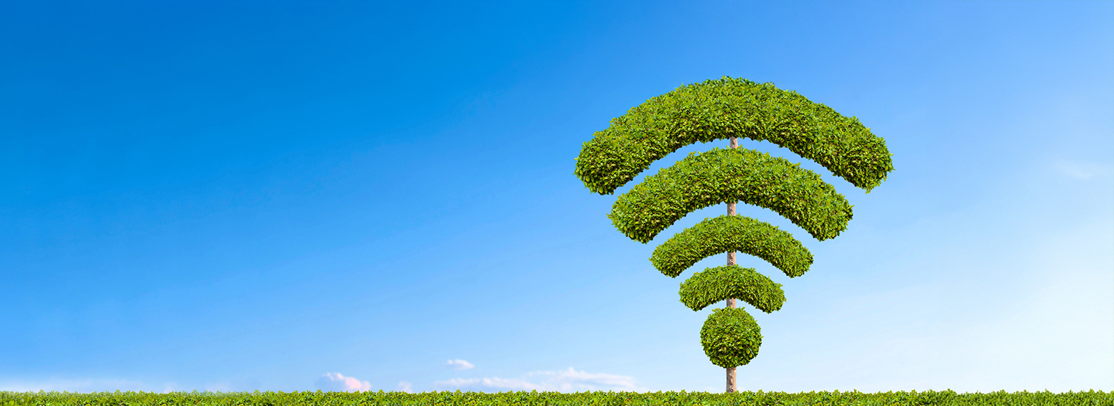 Wifi symbol made of plants
