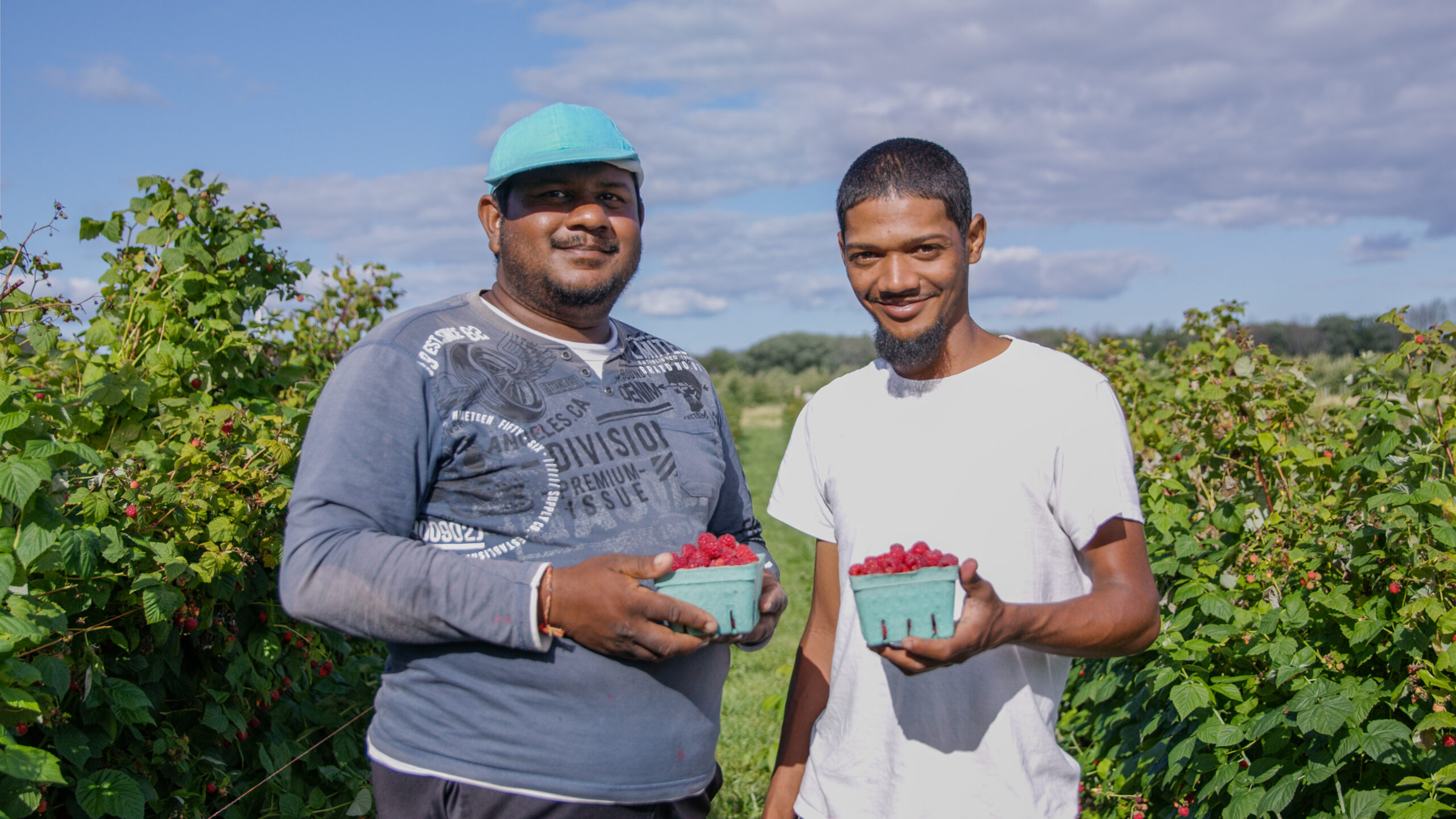 Moore Orchards, Grafton