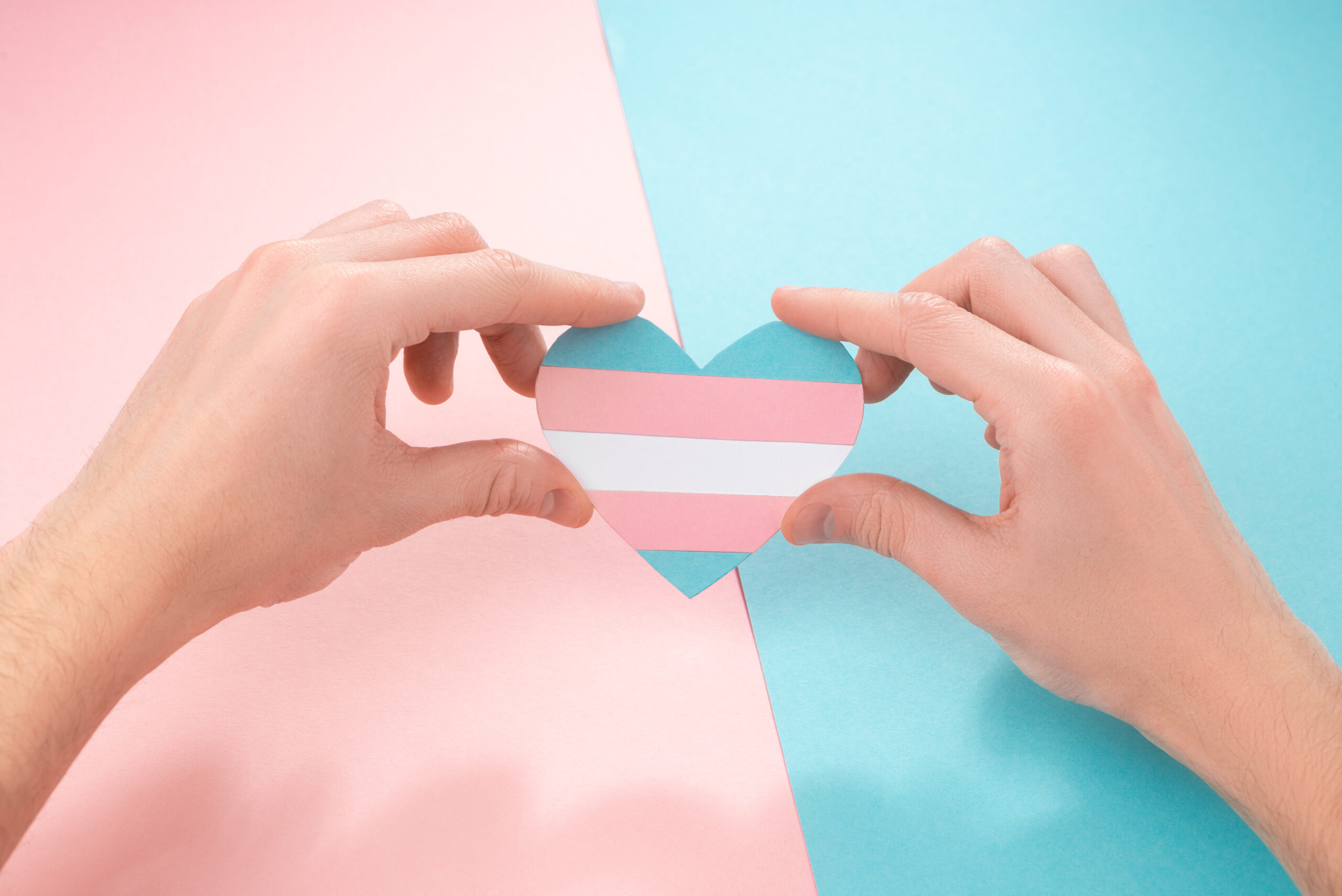 Hands holding a heart featuring the colours of the Transgender Flag.